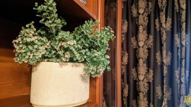 Duvarda bir demet çiçek