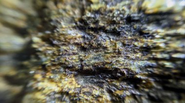 Makro fotoğrafçılıktaki taş dokusu