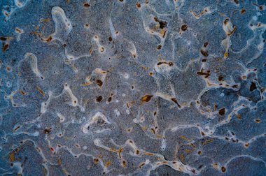 Makro fotoğrafçılıktaki buz dokusu