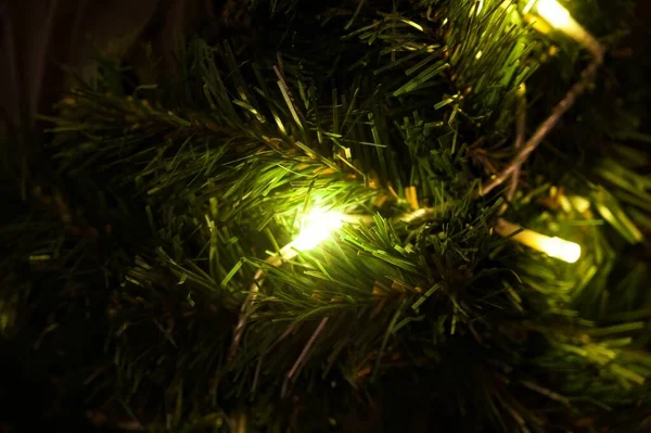 Різдвяні Гірлянди Дереві — стокове фото