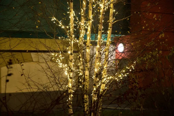 Girlandy Drzewie — Zdjęcie stockowe