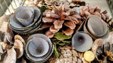 Konilerin Noel kompozisyonu