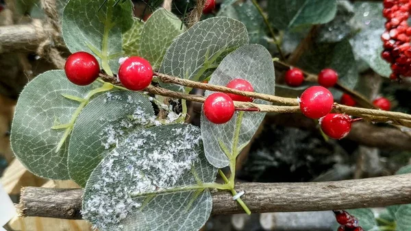 赤い果実のクリスマスの装飾 — ストック写真