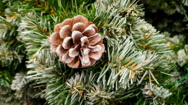 Albero Natale Con Decorazioni — Foto Stock