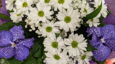 eller mavi ve beyaz çiçekler buket