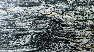 eski ahşap doku, arka plan