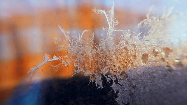 Мороз Окне — стоковое фото