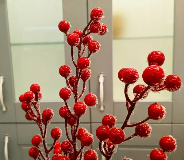 Červené Bobule Pro Dekoraci Interiérů — Stock fotografie