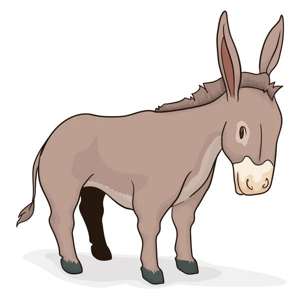 Cute Donkey Ass Long Ears Tail Hoofed Legs Brown Fur — Stok Vektör