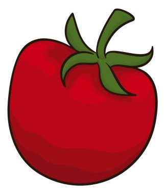 Lezzetli ve taze domatesli pedikür, fok balığı ve canlı kırmızı renkli çizgi film tarzı ve özeti beyaz arka planda..