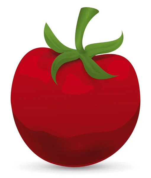 红色和成熟的番茄 绿茎花梗和花瓣 被白色的背景隔离 — 图库矢量图片