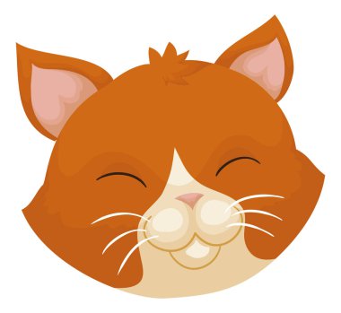 Cute kitten head of orange fur and happy gesture, isolated over white background.