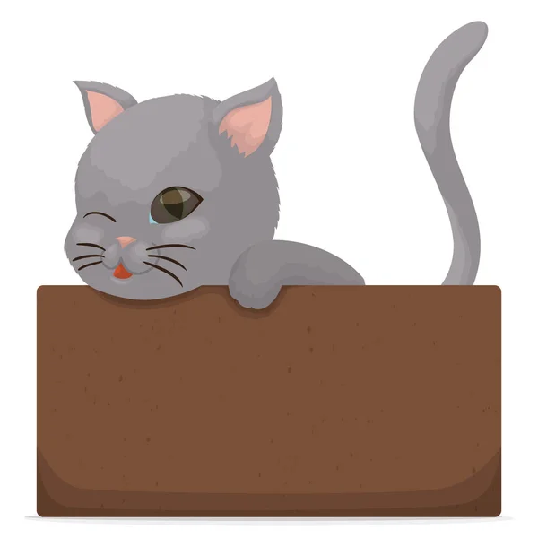 Affectionate Gray Kitten Blue Eyes Winking You While Waits Cardboard — Stock Vector