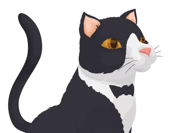 Elegant Bicolor Tuxedo Cat Patch Bow Tie Its Fur — Stockvektor