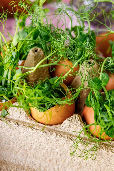 Geleneksel Paskalya yemeği, kurutulmuş meyve ve yanan mum.