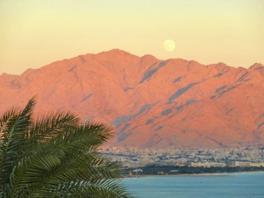 Ay dağları ve palmiye ağaçları ile deniz manzarası