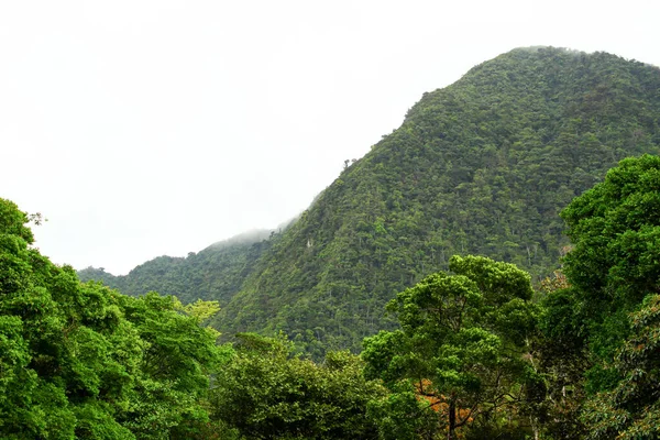 Montaas Con Nubes Parque Żadnych Opłat Rezerwacyjnych — Zdjęcie stockowe