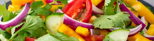 Banner Des Tellers Mit Regenbogensalat Mit Verschiedenen Gemüsen Und Kräutern — Stockfoto