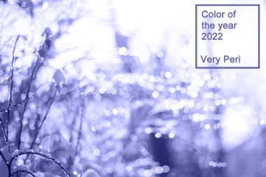 Kış karı şehir parkında bulanık bir zemin, ormanda kar yağışı, karla kaplı ağaç dalları, 2022 yılının son derece moda arka planında bulanık kar taneleri..