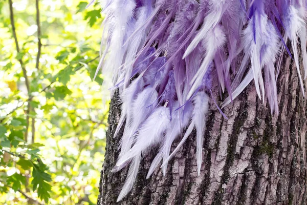 Atrapasueños Con Hilos Plumas Cuentas Cuerda Colgando Atrapasueños Hecho Mano — Foto de Stock