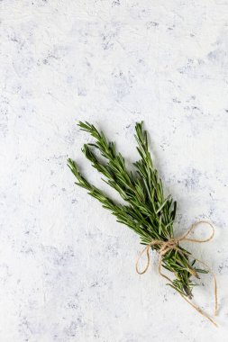 Açık beyaz arka planda bir demet yeşil taze biberiye. Tarifler için baharat ve bitkiler. Kopyalama alanı olan üst görünüm.