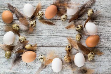Paskalya arka plan Paskalya yumurta ve tavuk tüyleri çerçeve yapılmış. Kopya alanı.