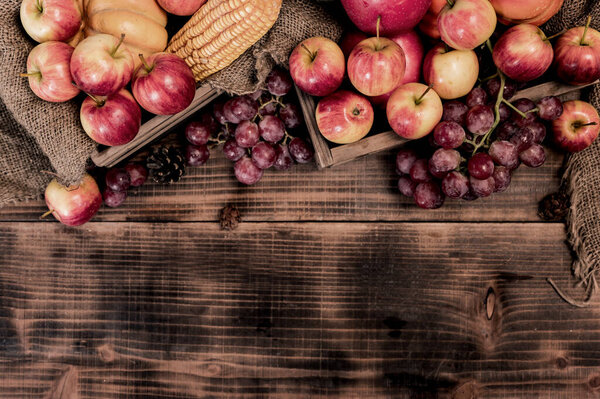 Fall Harvest Autumn Season Fruit Vegetable Stock Picture