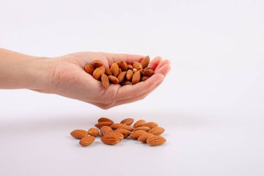 Beyaz arkaplanda el ele tutuşan badem tohumu