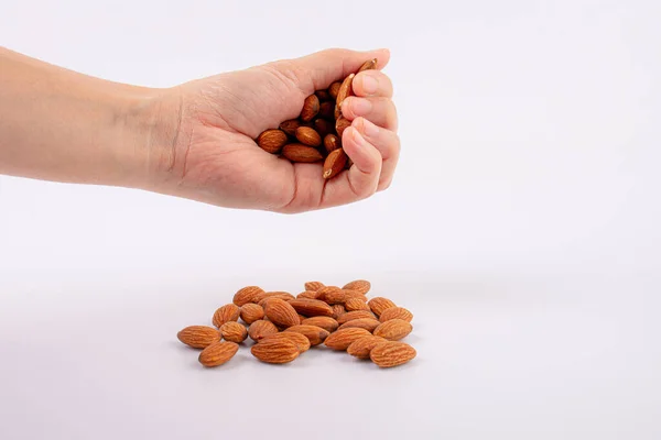 Hand Holding Almonds Seed Isolated White Background — Stock Photo, Image