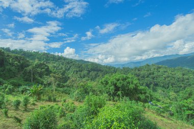Güzel mavi gökyüzü yüksek dağlar sisler vahşi yaşam yeşil ormanlar Changmai 'de