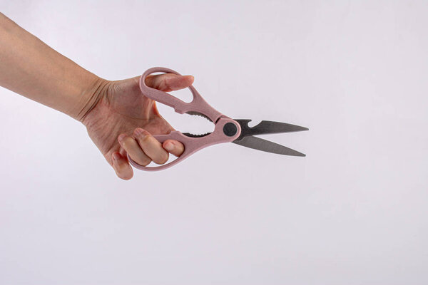Female hand with kitchen scissors on white background.