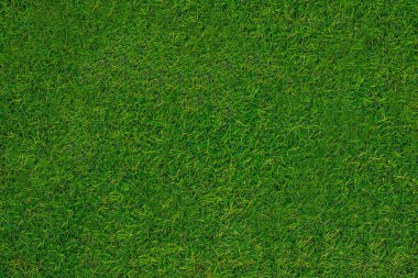 Arka plan için yeşil çimen deseni ve doku. Yakın plan.