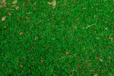 Yeşil yapay ot doğal arkaplan