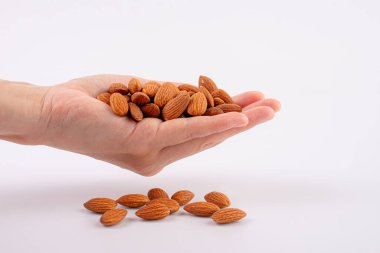 Beyaz arkaplanda el ele tutuşan badem tohumu