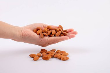 Beyaz arkaplanda el ele tutuşan badem tohumu
