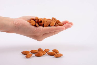 Beyaz arkaplanda el ele tutuşan badem tohumu