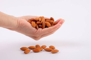 Beyaz arkaplanda el ele tutuşan badem tohumu