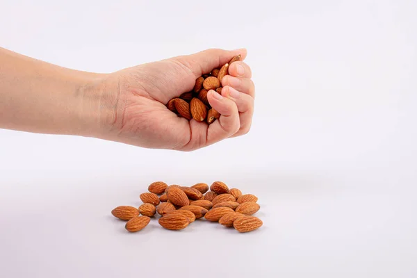 Hand Holding Almonds Seed Isolated White Background — Stock Photo, Image