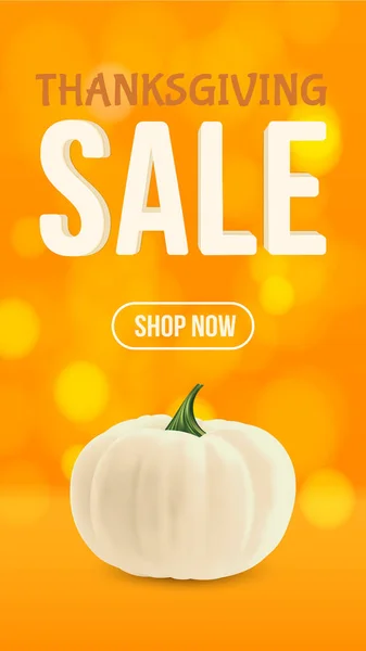 Turuncu arka planda izole edilmiş gerçekçi organik beyaz balkabağı. Şükran Günü sonbahar indirimi. Instagram hikayeleri için vektör illüstrasyonu