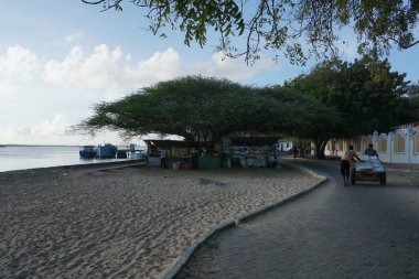Kenya, Lamu Adası, Shela 'ya giderken yoğun yerel hayatı izliyorum.