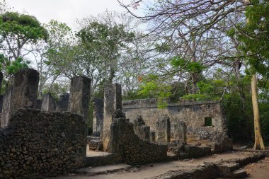 Watamu, Kenya 'nın yemyeşil bitki örtüsü arasında bulunan büyüleyici Gedi kalıntıları.