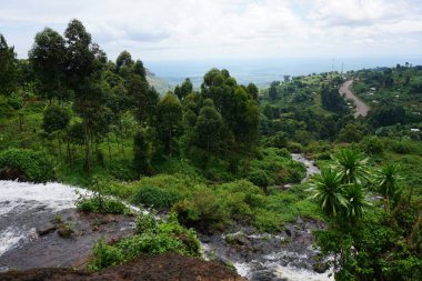 Uganda 'nın doğusundaki Sipi Şelalesi' nden gelen suyu takip eden resim gibi manzara.