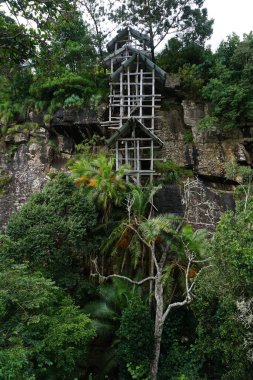Lushoto, Tanzanya 2021 yakınlarındaki Usambara Dağı Platosu 'na tahta döşeme yapılacak.