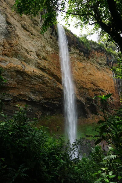 Egyik Sipi Vízesés Elgon Nemzeti Parkban Buja Növényzet Között Uganda — Stock Fotó