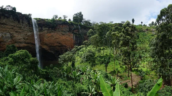 Bosque Tropical Exuberante Con Una Las Cataratas Sipi Fondo Este —  Fotos de Stock
