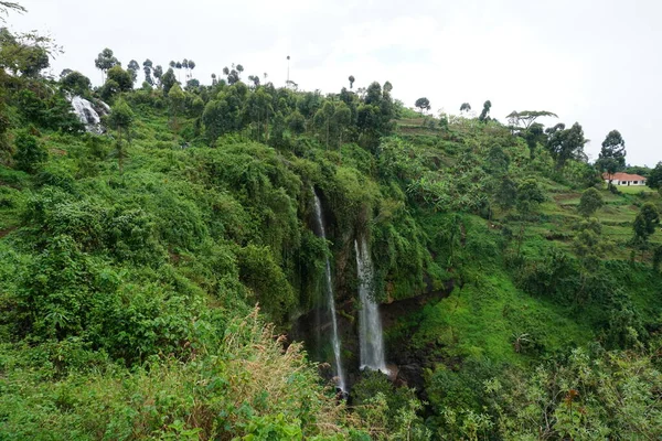 Una Las Cataratas Sipi Que Sale Exuberante Densa Vegetación Este —  Fotos de Stock