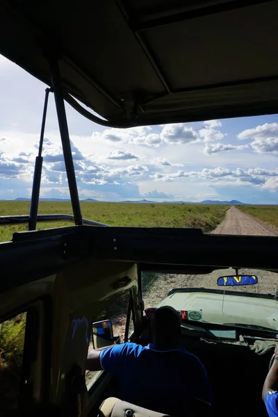 Game Drive Dans Serengeti Avec Toit Notre 4X4 Ouvert Tanzanie — Photo