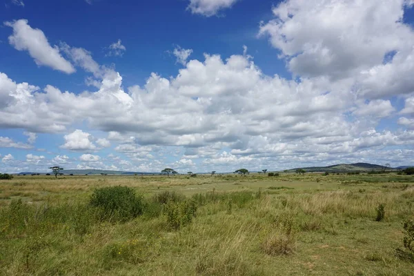 Dech Beroucí Krajina Národním Parku Serengeti Tanzanie 2021 — Stock fotografie