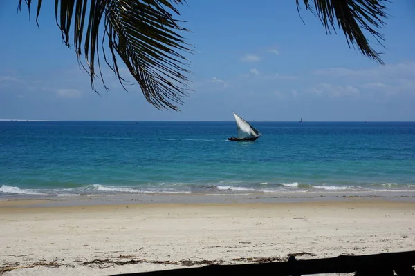 Vista Playa Dhow Agua Desde Café Stone Town Zanzíbar Tanzania —  Fotos de Stock