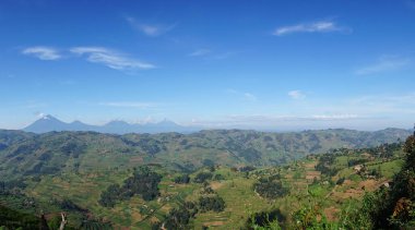 Virunga Dağları 'na bakın. Bwindi Geçilmez Ormanı' na yakın, Uganda.